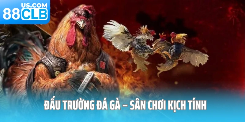 Đấu Trường Đá Gà