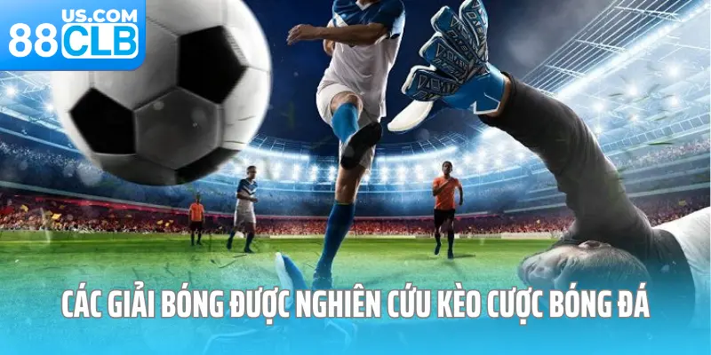 Các giải bóng được nghiên cứu kèo cược bóng đá